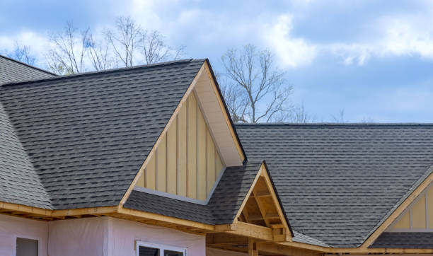 Best Roof Insulation Installation  in Peculiar, MO